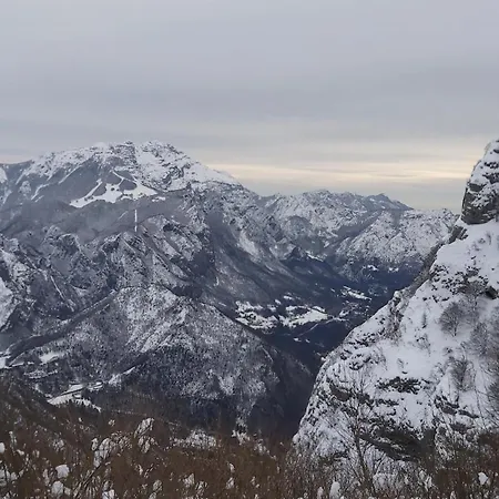 Buddy's House View Pet Friendly Whit Garage *