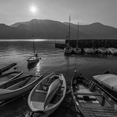 Buddy's House View Pet Friendly Whit Garage Apartmán