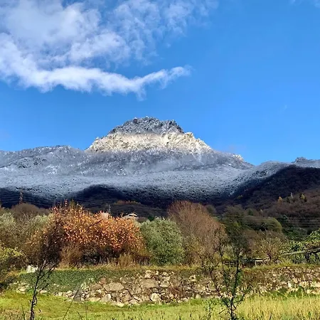 Buddy's House View Pet Friendly Whit Garage Apartmán *