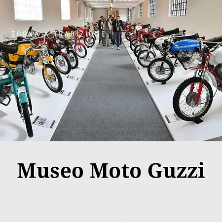 Апартаменты Buddy's House View Pet Friendly Whit Garage