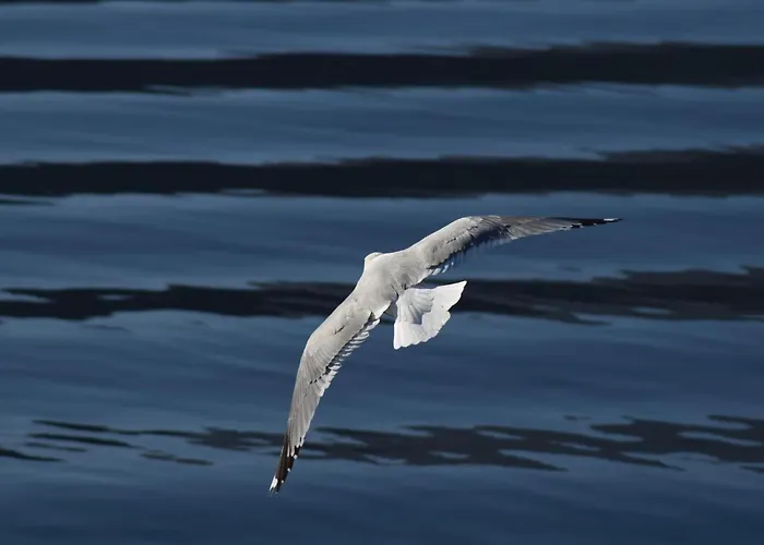 Buddy's House View Dog Friendly Whit Garage アパート アッバディーア・ラリアーナ