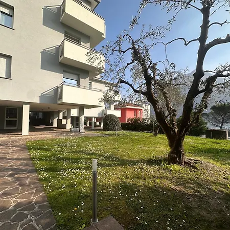 Buddy's House View Pet Friendly Whit Garage