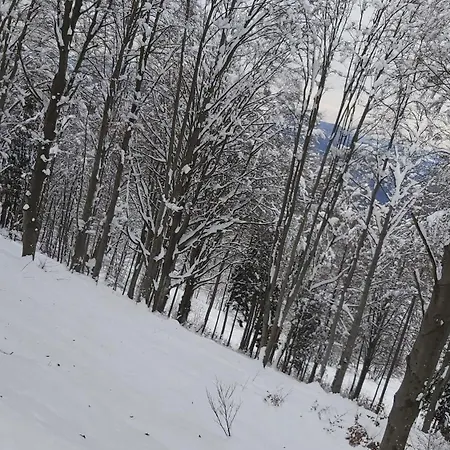 Διαμέρισμα Buddy's House View Pet Friendly Whit Garage