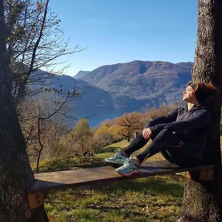 Daire Buddy's House *