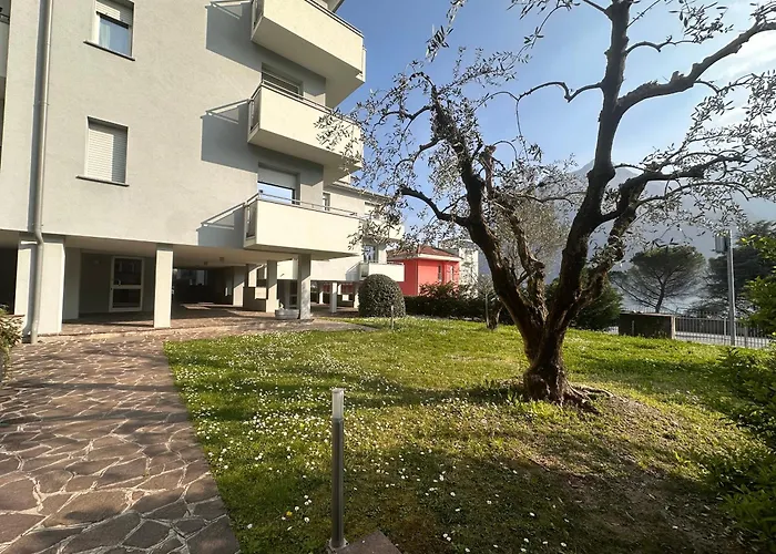 Buddy's House View Dog Friendly Whit Garage